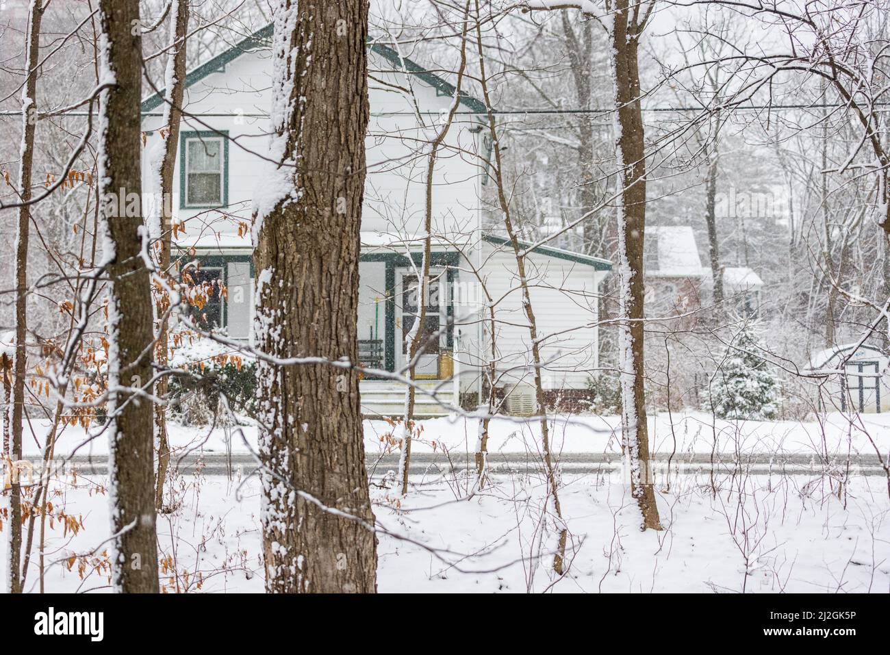Maison de deux étages sur une route calme dans des bois enneigés Banque D'Images