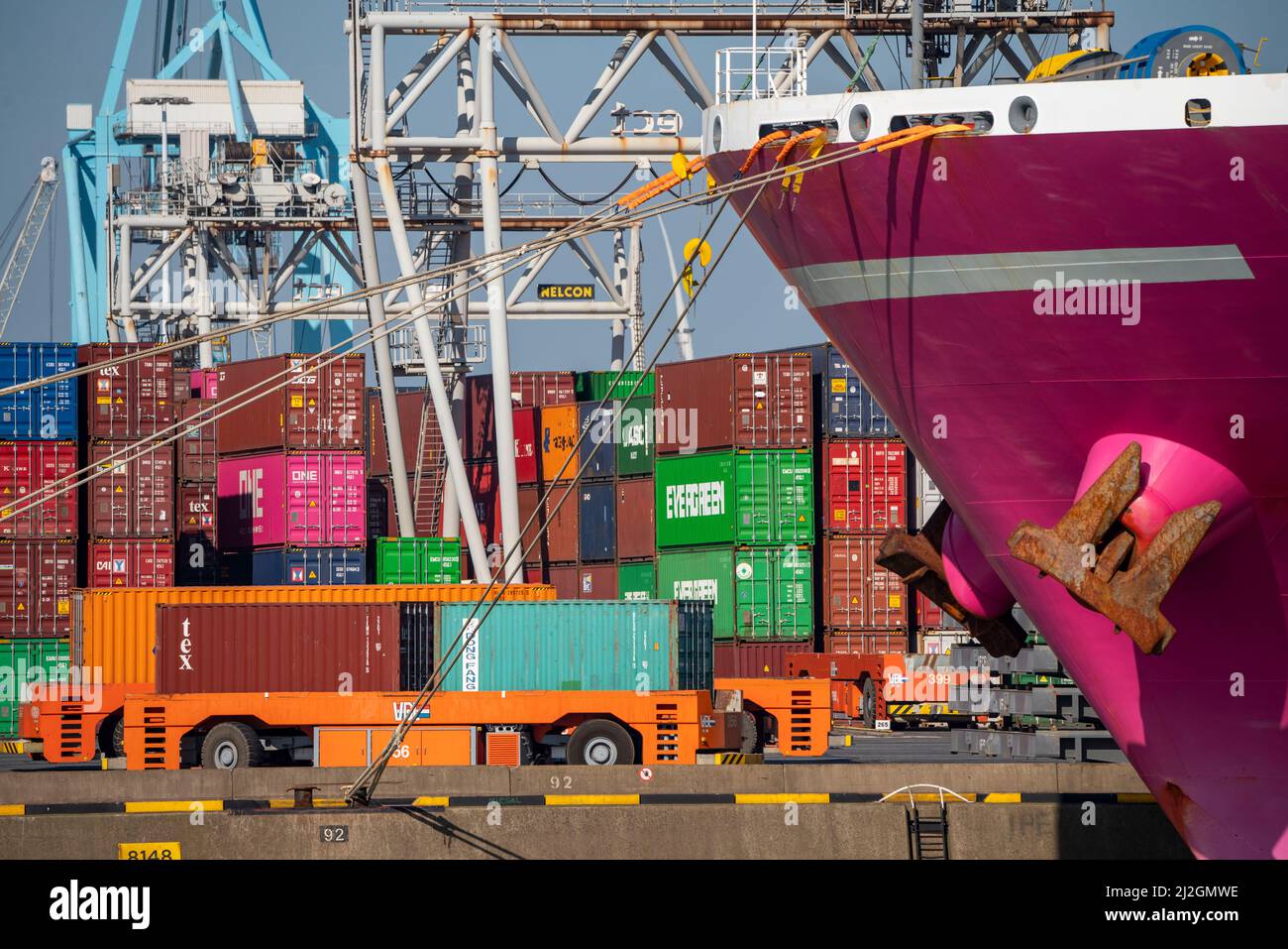 Les transporteurs de conteneurs automatiques à conduite autonome apportent les conteneurs aux emplacements de chargement et de stockage, terminal Hutchinson ECT Delta, conteneur te Banque D'Images