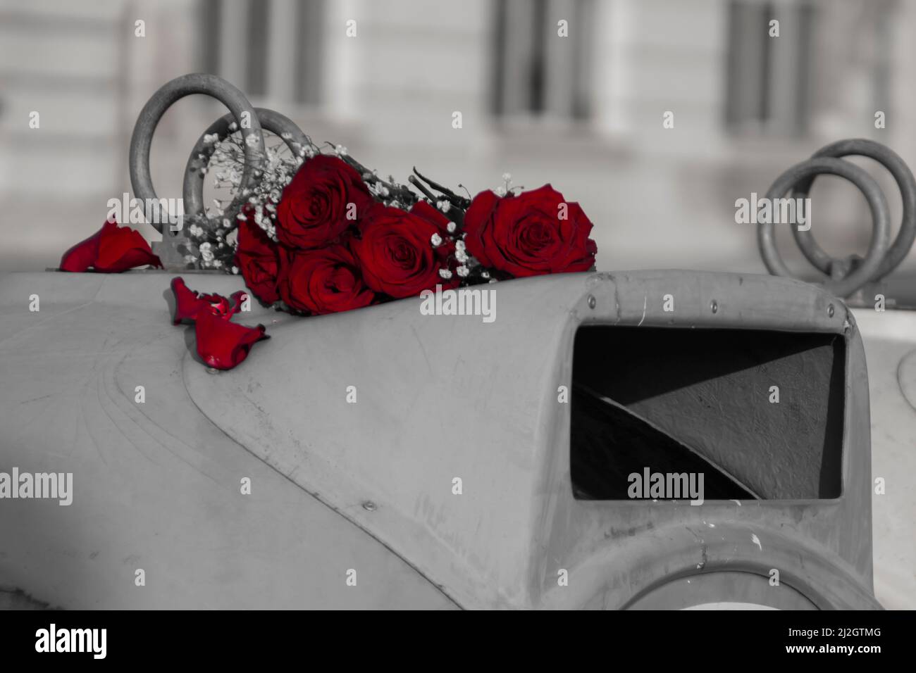 Vers 2022, Sofia, Bulgarie : photo en noir et blanc avec des roses rouges sur une poubelle le jour de la Saint-Valentin. Un amour sans demande, des fleurs jetées. Banque D'Images