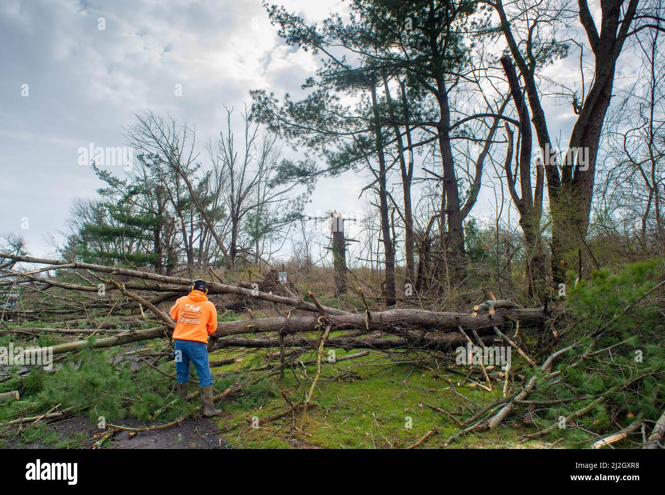 Bedminster, États-Unis. 01st avril 2022. Paul Burger aide à enlever les débris d'arbre de la maison de sa fille et de son gendre après les orages ont causé des dommages majeurs aux maisons et aux biens dans la région et a renversé 150 maisons de puissance vendredi, le 01 avril 2022 à Bedminster, Pennsylvanie. Le Service météorologique national enquête sur la question de savoir si une tornade a effectivement touché le sol et a été la cause des dommages. Crédit : William Thomas Cain/Alay Live News Banque D'Images