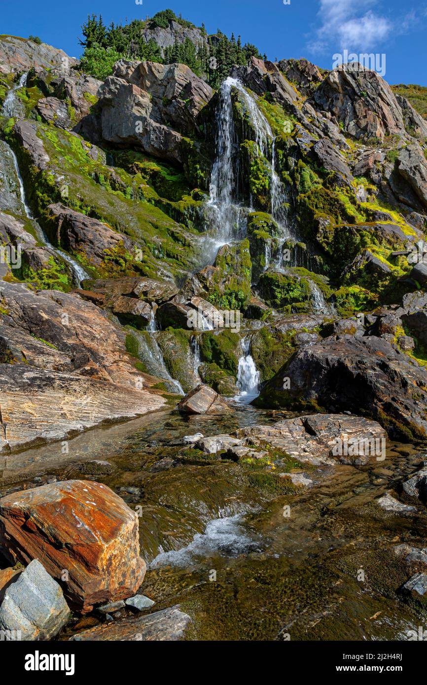 WA21264-00...WASHINGTON - Waaterfall le long de la route vers le glacier White Chuck dans la région sauvage de Glacier Peak. Banque D'Images