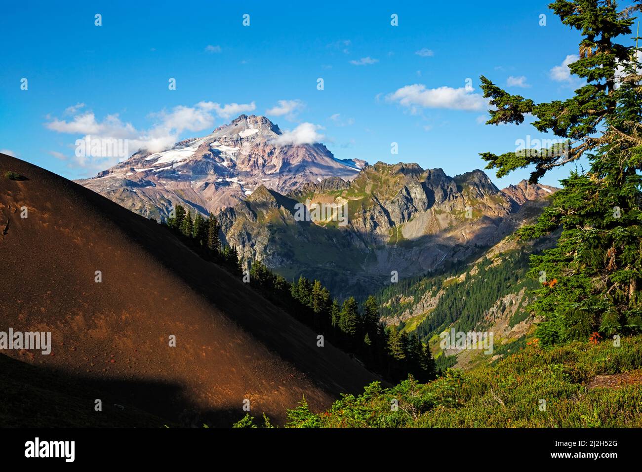 WA21276-00...WASHINGTON - White Chuck Cinder Cone et Glacier Peak dans la région sauvage de Glacier Peak. Banque D'Images