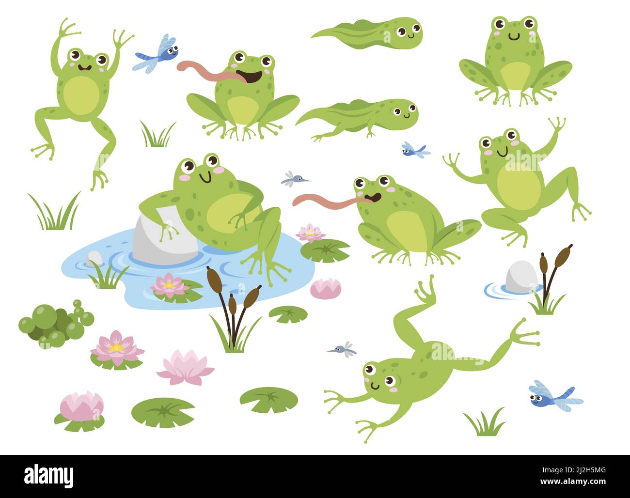 Ensemble d'illustrations vectorielles de personnages de dessin animé de grenouille mignons. Dessins de crapauds verts sautant, assis dans l'étang avec le lotus, attrapant les libellules isolées sur W Illustration de Vecteur