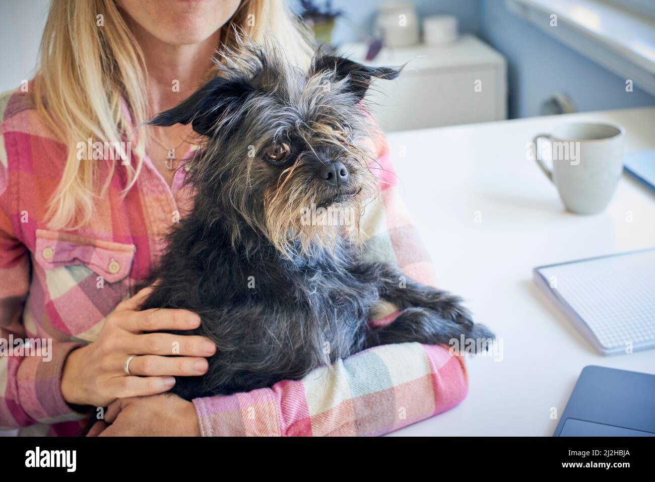 Femme assise à un bureau et tenant un chien Banque D'Images