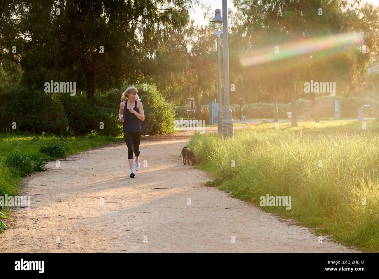 Femme mature jogging avec chien Banque D'Images