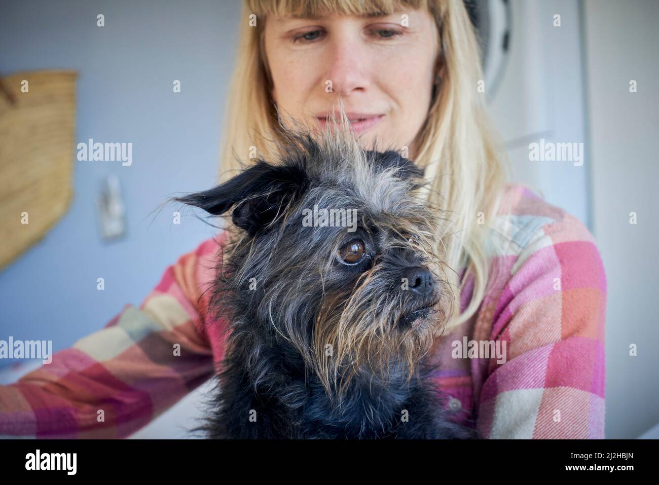 Femme mature regardant le chien Banque D'Images