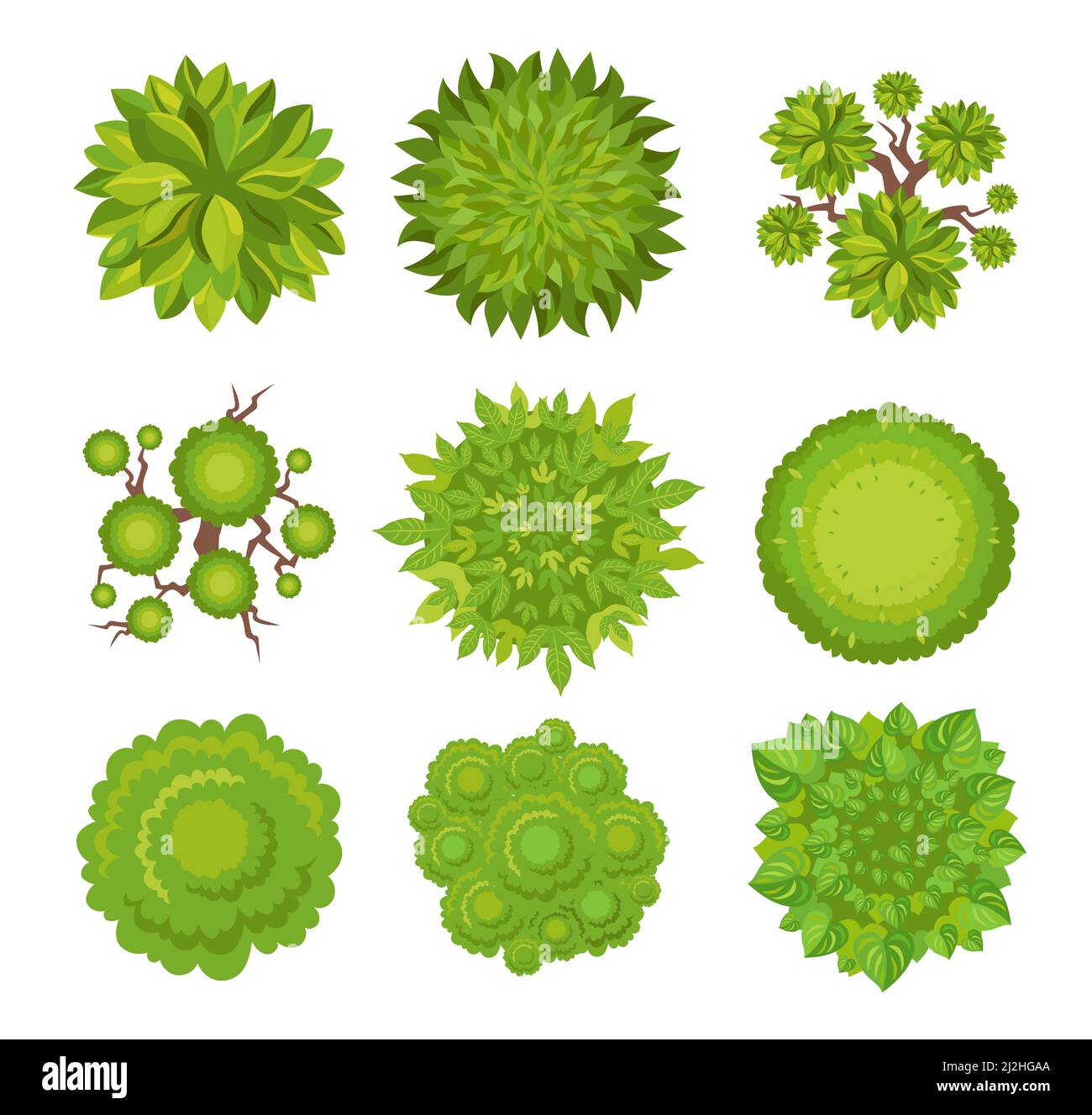 Vue de dessus du jeu d'illustrations vectorielles arbres et buissons.Éléments de paysage pour le jardin, le parc ou la forêt, plantes pour la conception de cartes isolées sur le backgrou blanc Illustration de Vecteur