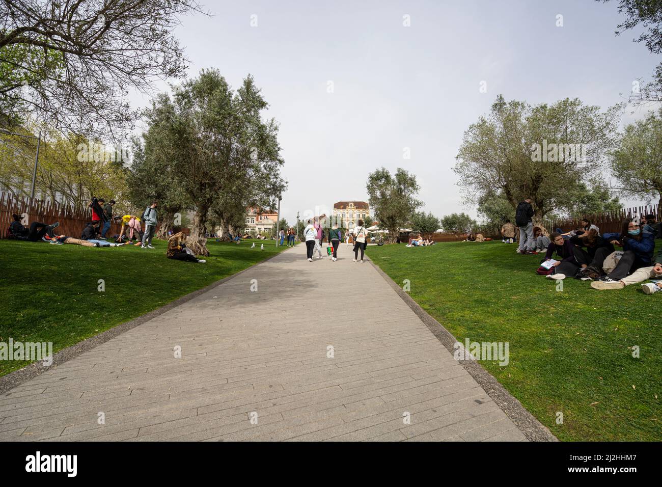 Porto, Portugal. Mars 2022. Personnes se détendant sur la pelouse du parc sur la place de Lisbonne dans le centre-ville Banque D'Images