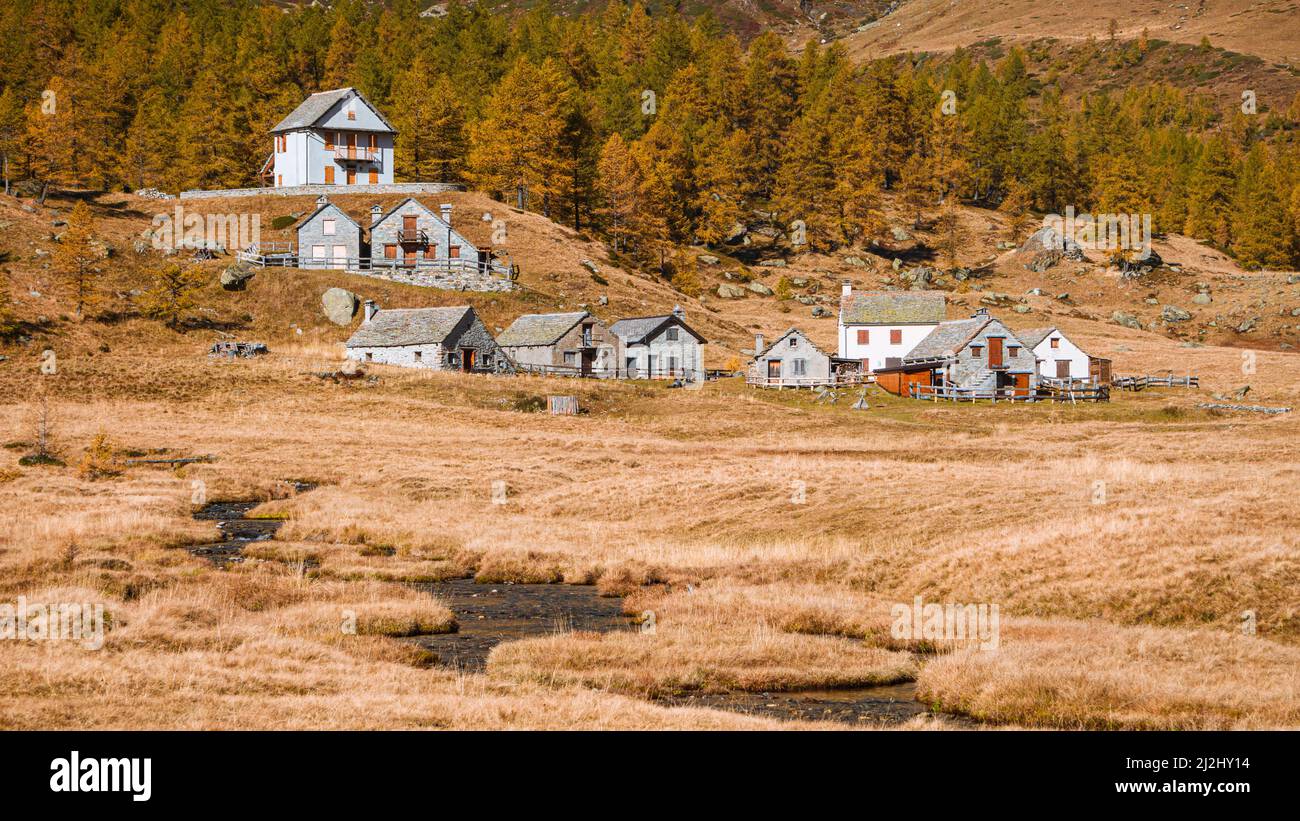 Alpage de haute altitude dans les Alpes avec ses habitations de montagne typiques, pendant la période du feuillage, lorsque la forêt de mélèze devient or. Banque D'Images