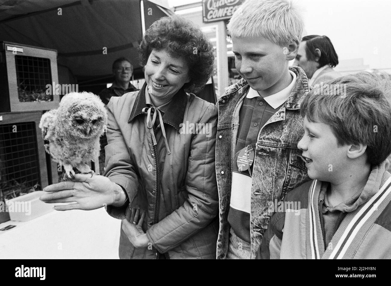 Honley Show. Un oiseau dans la main... Margaret Mottram, du sanctuaire de la chouette de Thurlstone, montre un jeune hibou tawny à Adam et Ben Whitehead, de Golcar. 11th juin 1988. Banque D'Images