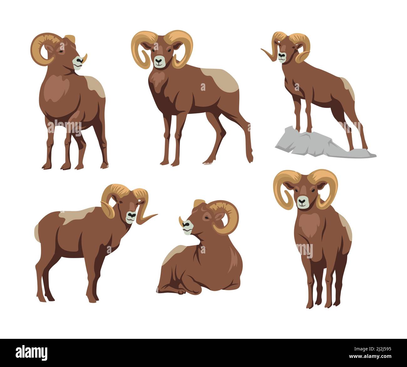 Ensemble d'illustrations de dessin animé de poses brunes. RAM, mouton, mascotte avec de grandes cornes assis et debout vecteur plat illustration isolée sur Illustration de Vecteur