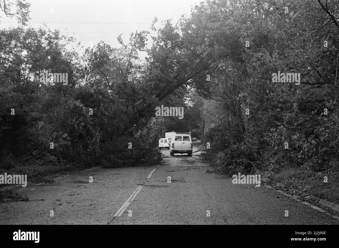 La grande tempête octobre 1987. Nos photos . . . Dégâts causés par une tempête à Remenham Hill, Wokingham, Berkshire, Angleterre, 16th octobre 1987. La grande tempête de 1987 a eu lieu dans la nuit des 15th et 16th octobre 1987. Un système météorologique exceptionnellement fort a causé des vents qui ont frappé une grande partie du sud de l'Angleterre et du nord de la France. C'était la pire tempête à avoir frappé l'Angleterre depuis la Grande tempête de 1703. Les dégâts ont été estimés à 7,3 milliards de livres au Royaume-Uni et à 23 milliards de francs en France. Banque D'Images