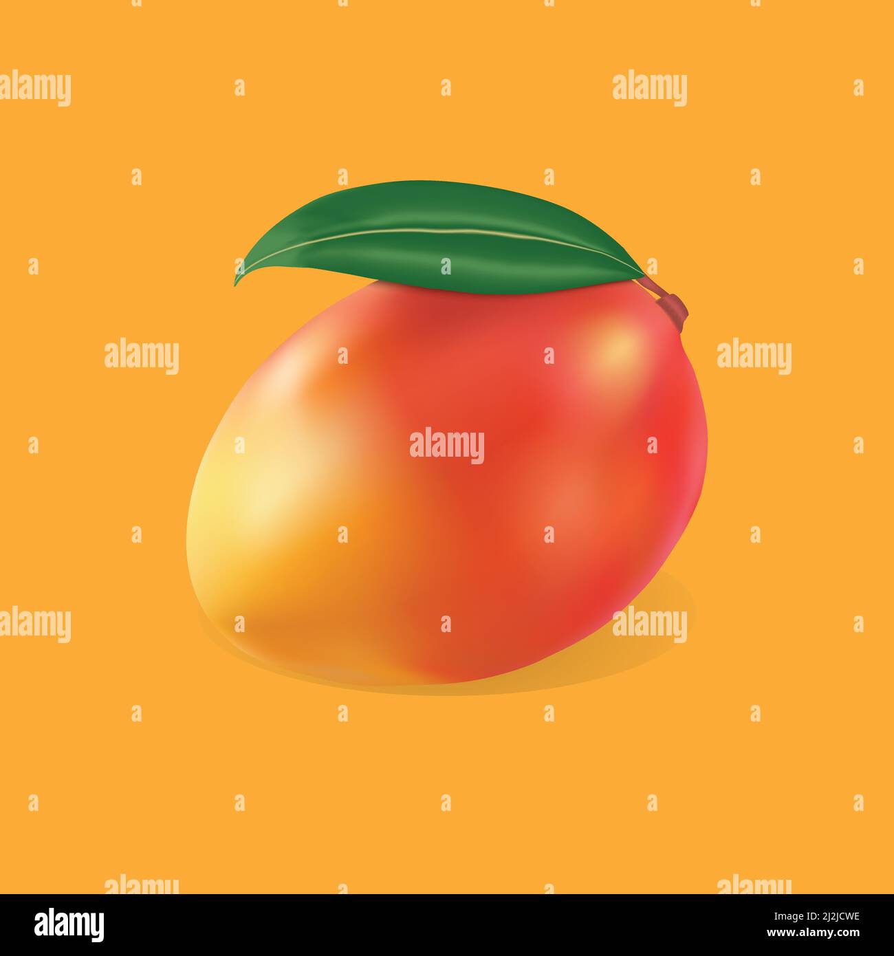 illustration réaliste du vecteur de frute de mangue Illustration de Vecteur