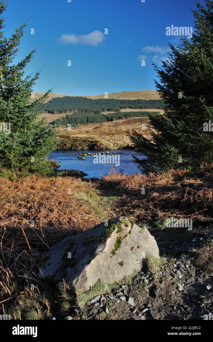 Galloway Forest Park - Écosse Banque D'Images