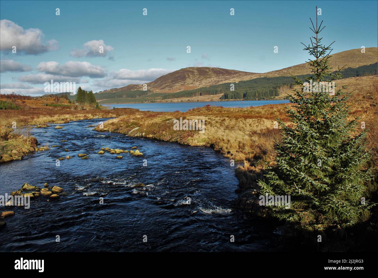 Galloway Forest Park - Écosse Banque D'Images