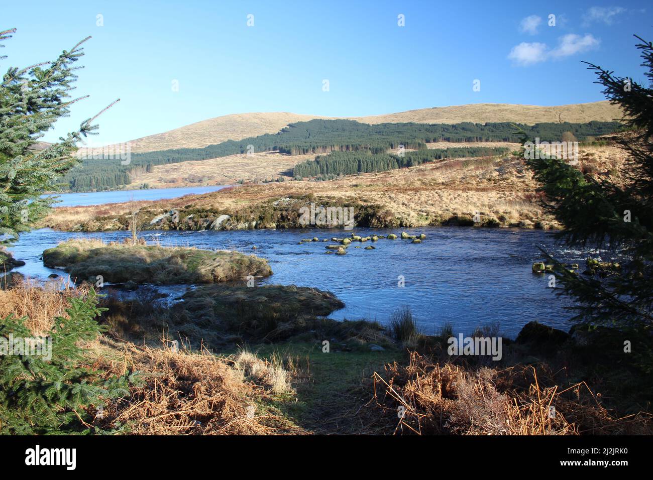 Galloway Forest Park - Écosse Banque D'Images