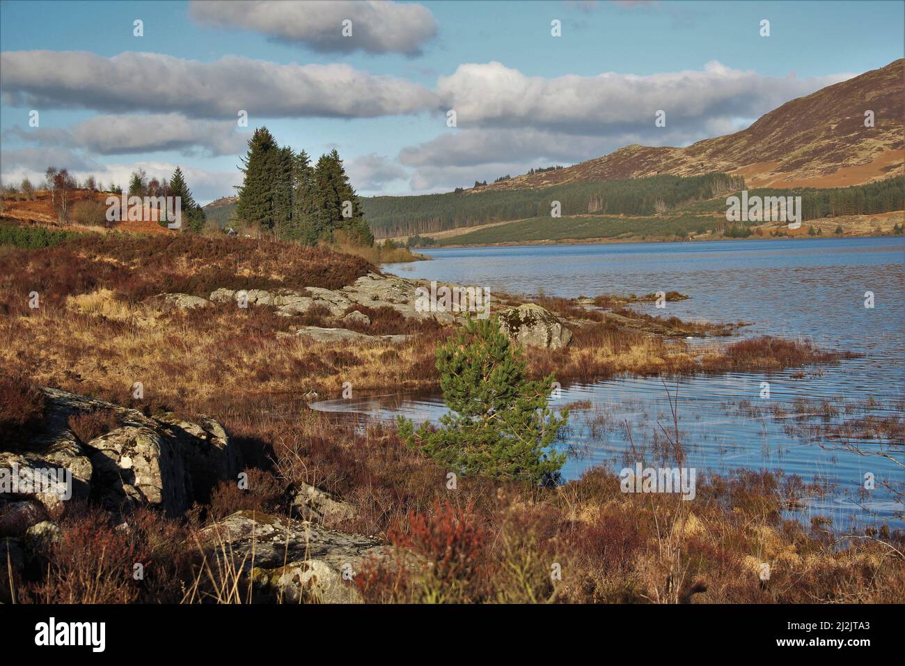 Galloway Forest Park - Écosse Banque D'Images