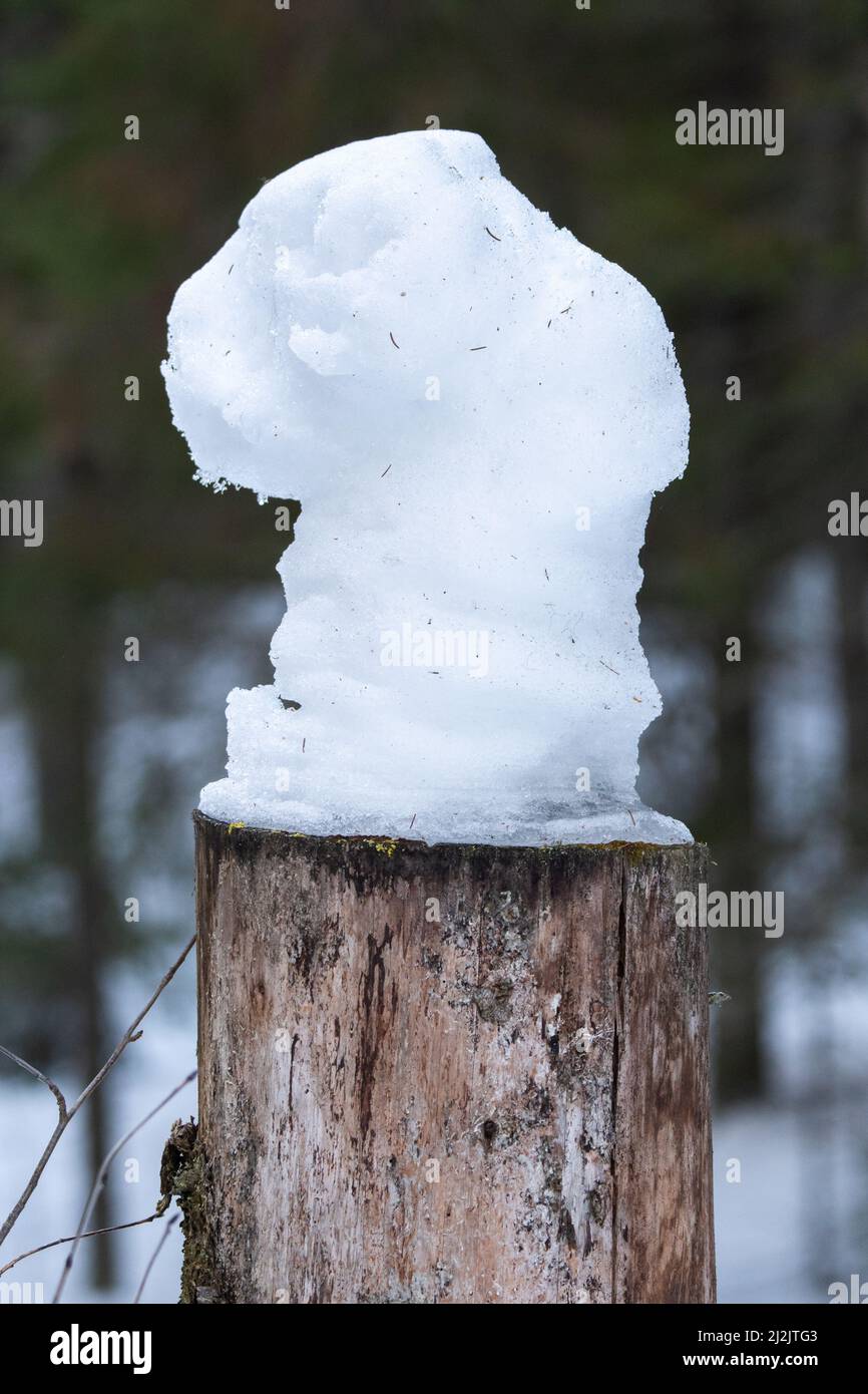 Une pile de neige sur une souche d'arbre Banque D'Images