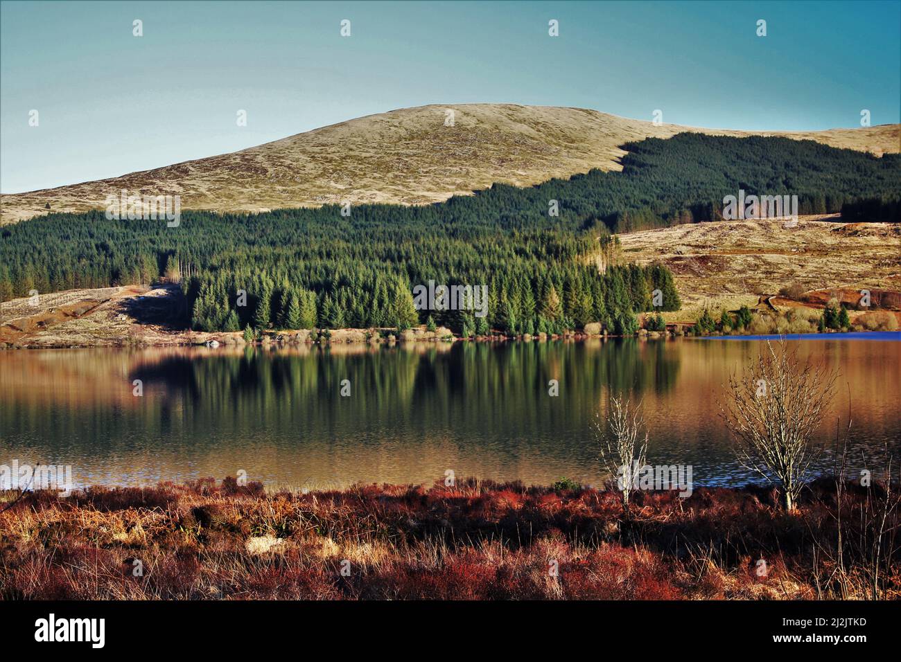 Galloway Forest Park - Écosse Banque D'Images