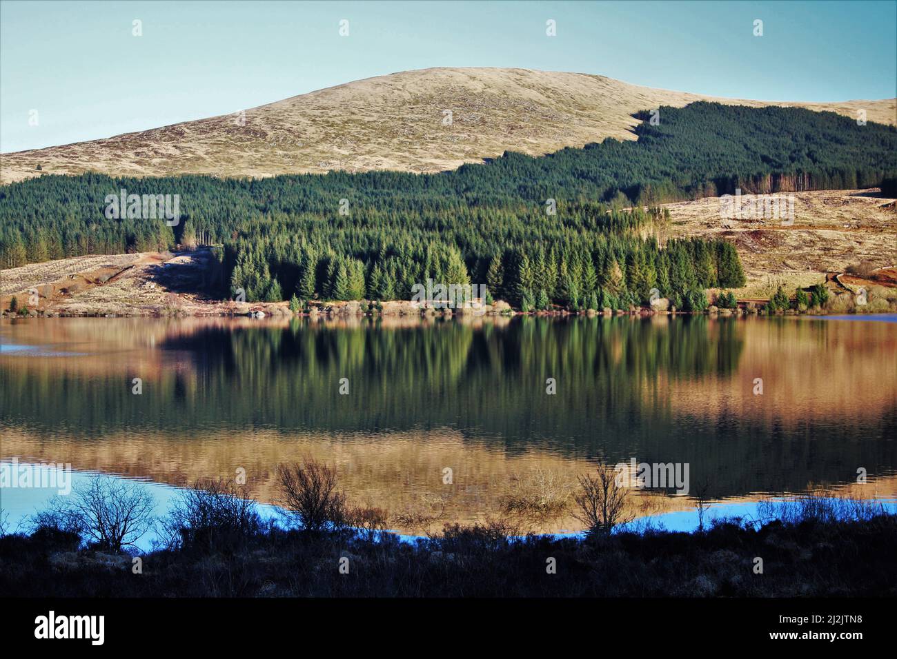 Galloway Forest Park - Écosse Banque D'Images