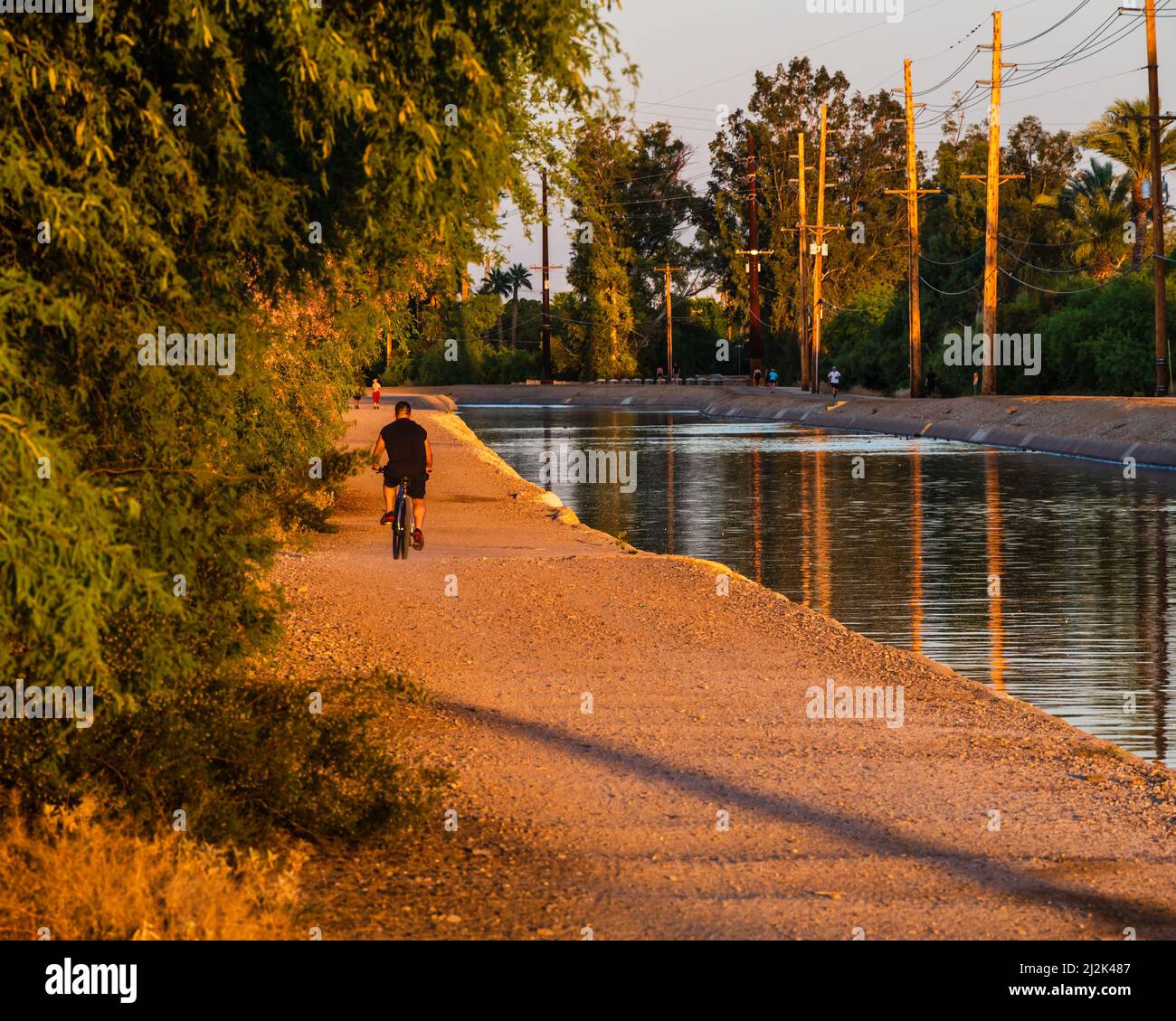 Un homme à vélo près du canal de l'Arizona dans Paradise Valley, une banlieue de Phoenix, un après-midi ensoleillé Banque D'Images