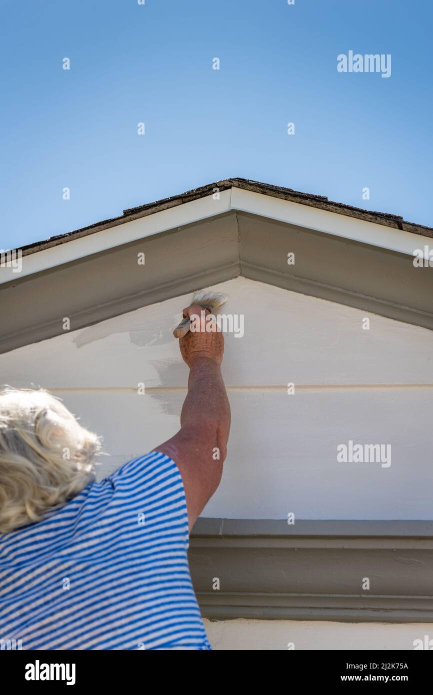 Vieille dame aux cheveux blancs peignant une maison extérieure près du toit avec de la peinture et de la brosse. Banque D'Images