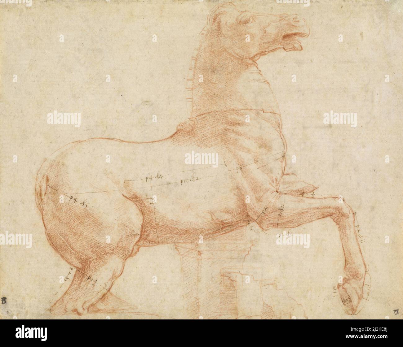 L'art antique de l'artiste italien Raphaël - Un cheval de marbre sur la colline du Quirinal (recto) (c. 1513) l'art de la haute Renaissance par Raffaello Sanzio da Urbino. Banque D'Images