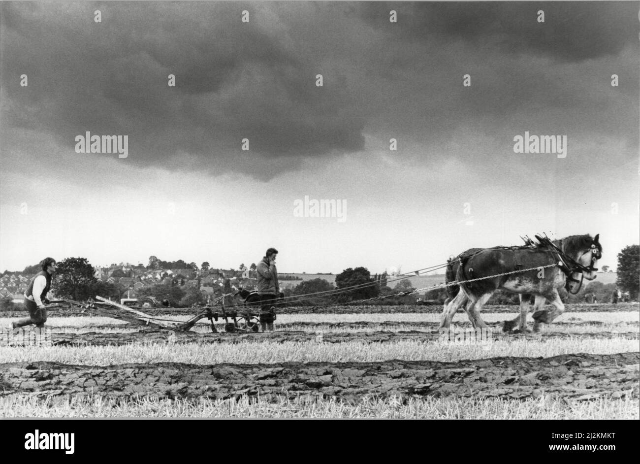 West Hallam & District labour & hedgecutting competition. 15th septembre 1988 Banque D'Images