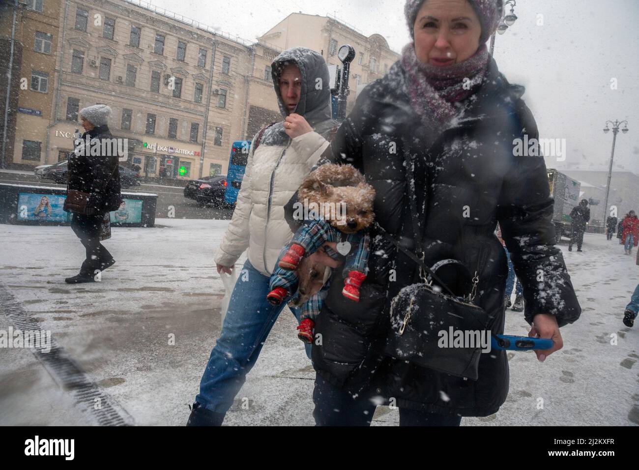Moscou, Russie. 2nd avril 2022. Les gens descendent la rue Tverskaya dans le centre de Moscou pendant une tempête de neige. Credit: Nikolay Vinokurov/Alay Live News Banque D'Images