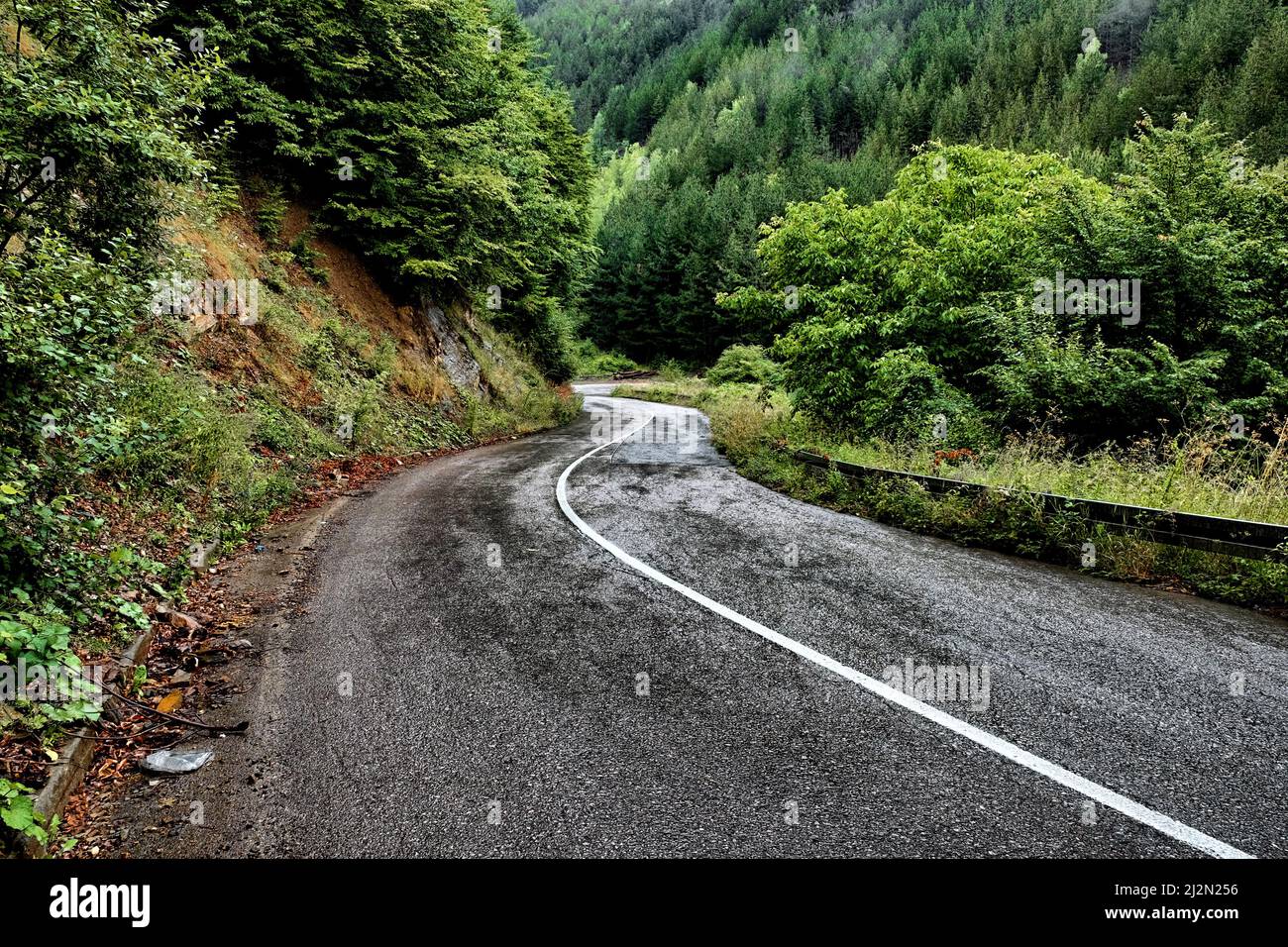 Route de montagne venteuse dans le parc national de Kopaonik après la pluie, Serbie Banque D'Images