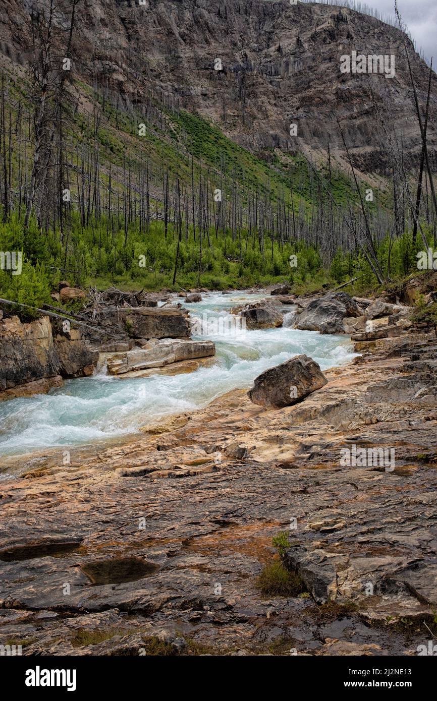 Cascade, Marble Canyon. Parc national Kooteny, Canada Banque D'Images