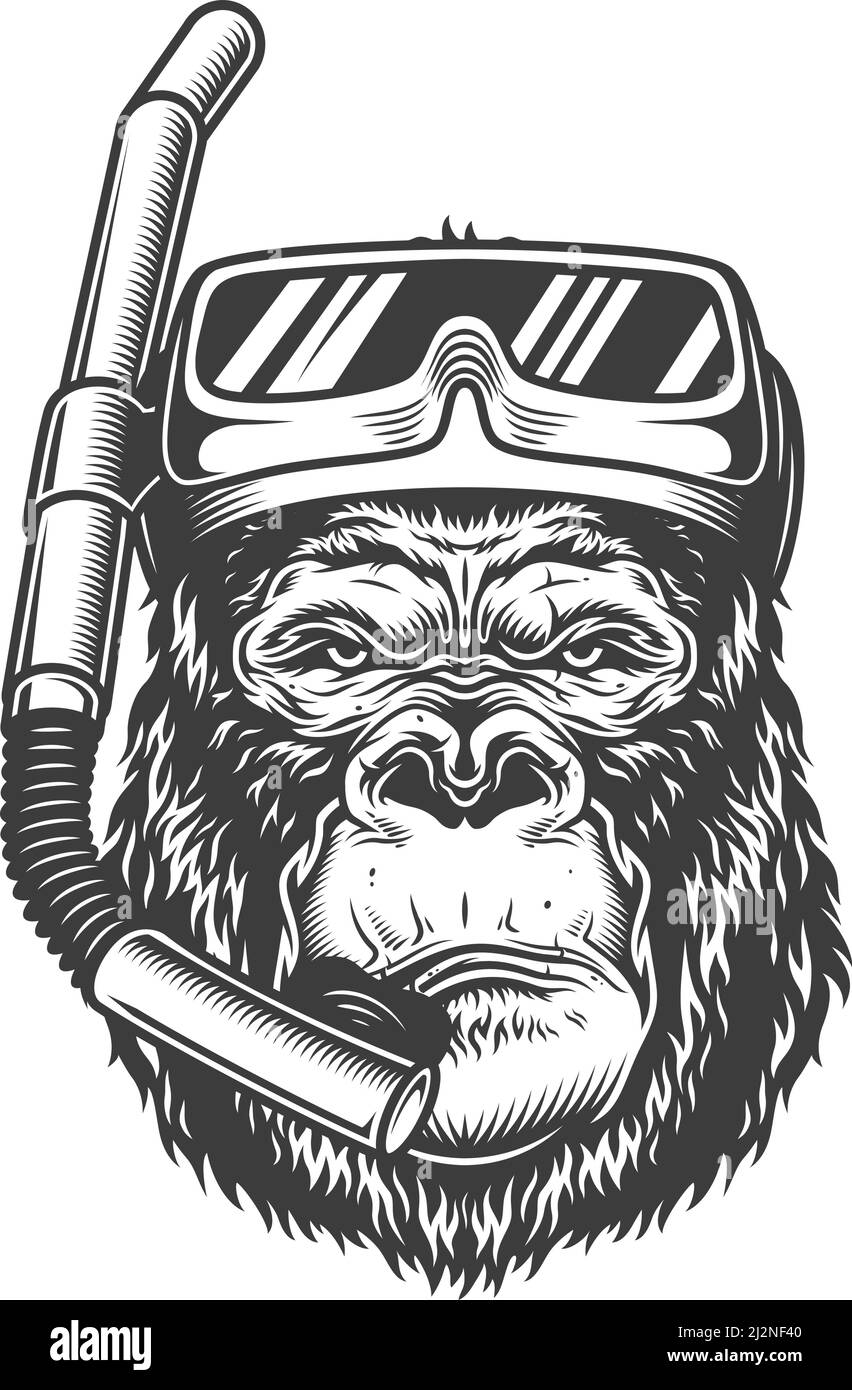 Gorille sérieuse de style monochrome en masque de plongée. Illustration vectorielle vintage Illustration de Vecteur
