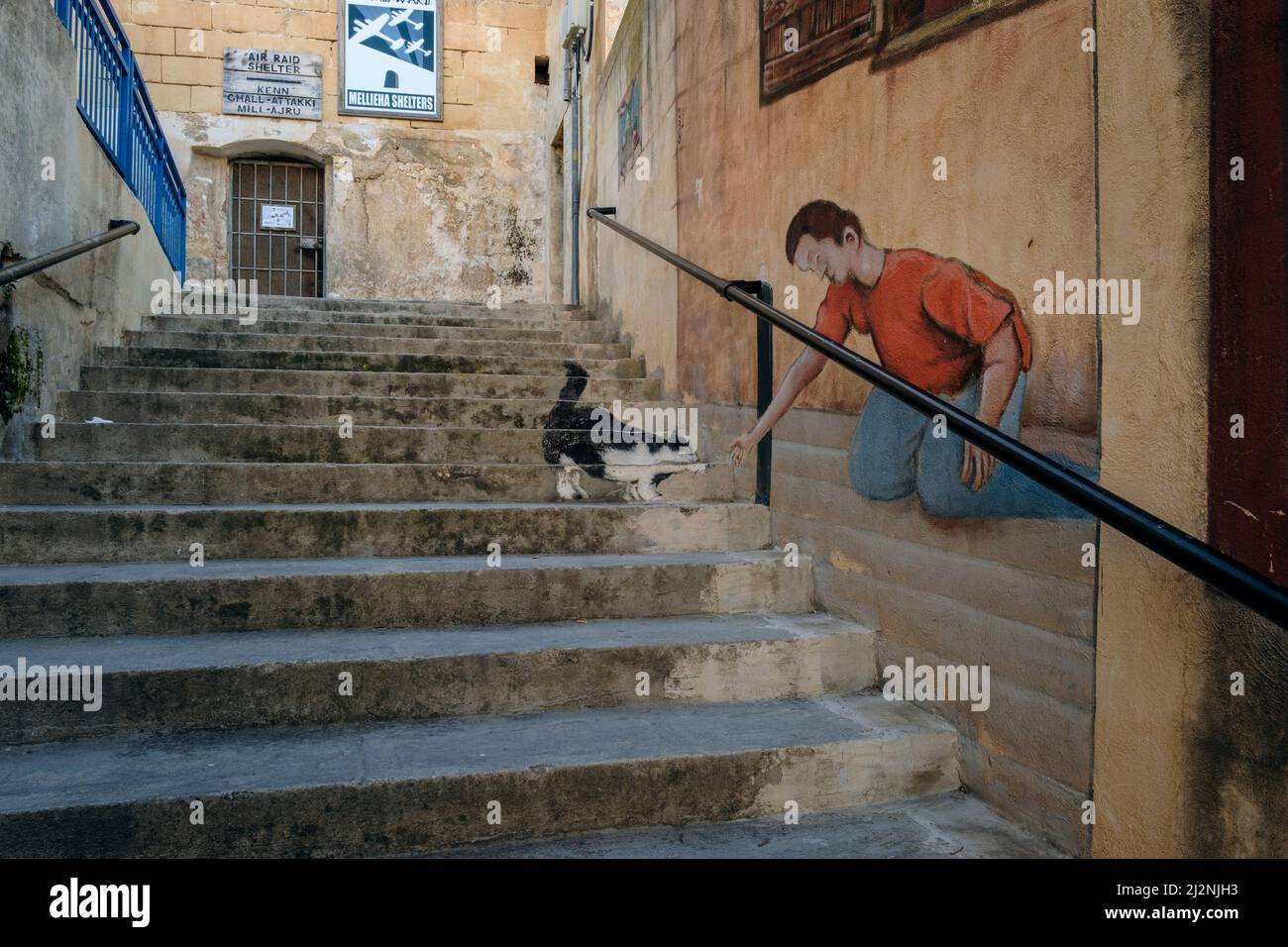 Murale d'un garçon qui nourrit un chat sur les marches à Mellieha, Malte Banque D'Images