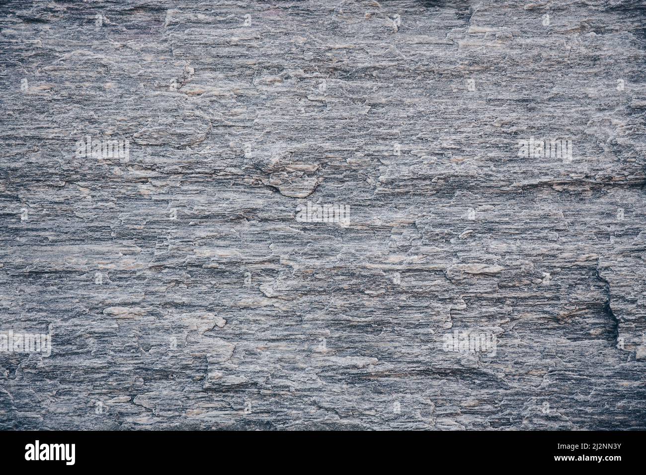 Revêtement mural en granit gneiss en pierre naturelle Banque D'Images