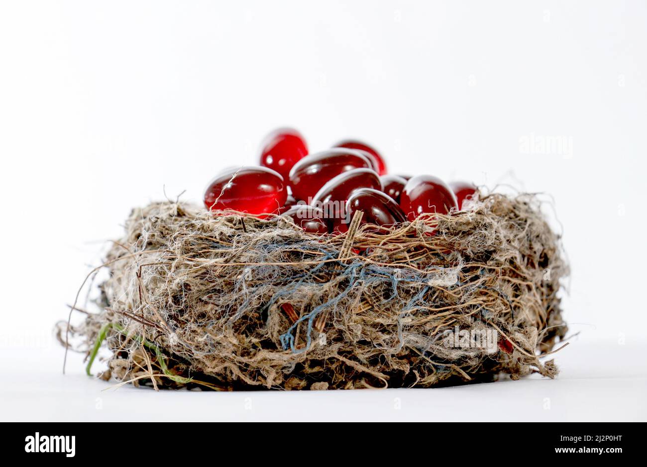 Photo d'une capsule de gel d'huile de krill dans un nid d'moineau Banque D'Images