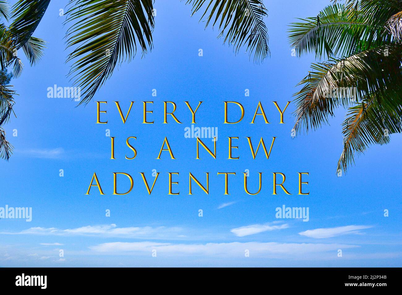 Citation motivante et inspirante sur l'image des feuilles de palmier contre le ciel bleu - chaque jour est une nouvelle aventure. Banque D'Images