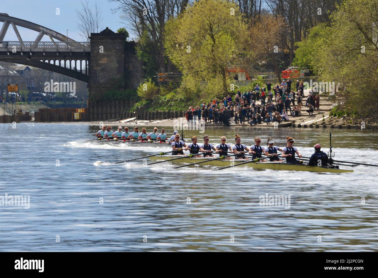 Londres, Royaume-Uni. 03rd avril 2022. Cambridge aviron dur et dirige pendant la course de bateau des femmes Gemini. Cambridge a gagné la course en un temps record pour prolonger sa série de victoires à cinq ans. Ils ont battu Oxford de plus de deux longueurs et en 18mins 22secs, et Cambridge a maintenant gagné 46 éditions de la course à Oxford 30. La course en bateau est une course annuelle d'aviron entre les universités d'Oxford et de Cambridge et se déroule chaque année sur une bande de 6,8 km (4,2 miles) de la Tamise, entre Putney et Mortlake, West London, Royaume-Uni. Crédit : Michael Preston/Alay Live News Banque D'Images