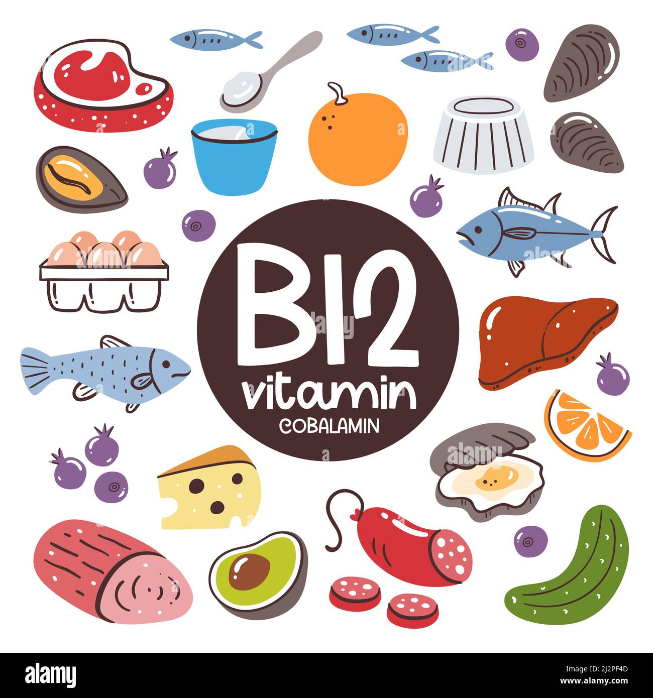 Produits alimentaires à forte teneur en vitamine B12 (cobalamine). Fruits de mer, viande, foie, œufs, produits laitiers, fruits. Illustration de Vecteur