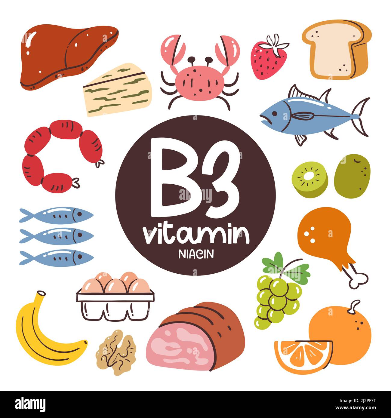 Produits alimentaires à haut niveau de vitamine B3 (Niacine). Ingrédients de cuisson. Fruits, noix, produits laitiers, viande, poisson, œufs. Illustration de Vecteur