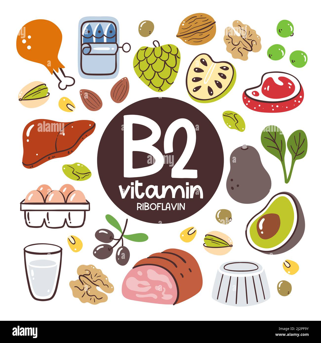 Produits alimentaires à teneur élevée en vitamine B2 (riboflavine). Ingrédients de cuisson. Fruits, légumes, viande, noix, produits laitiers. Illustration de Vecteur