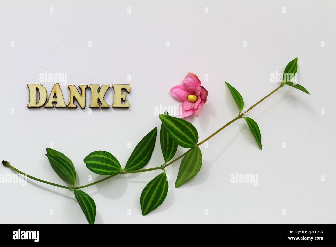 Danke (merci en allemand) écrit avec des lettres en bois sur fond blanc avec des feuilles vertes