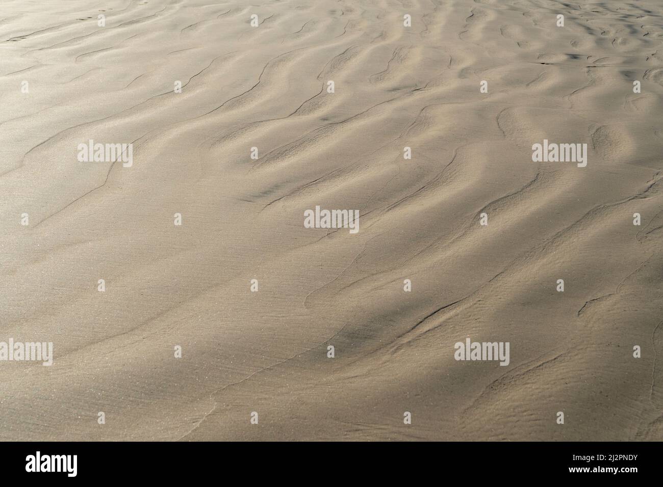Les ondulations de texture de sable se rapprochent. Arrière-plan de plage de sable humide. Banque D'Images