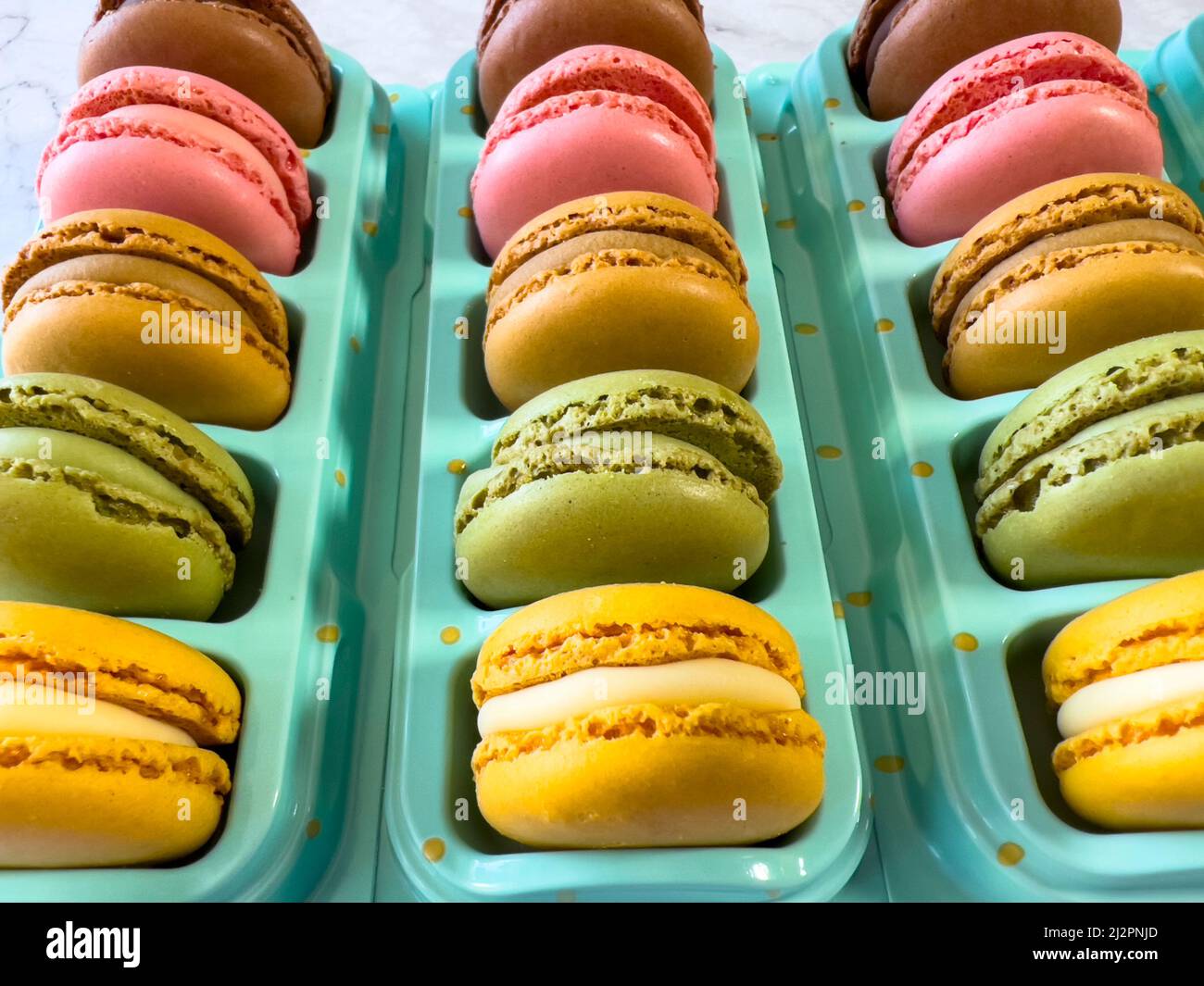 Macarons français colorés disposés en rangée Banque D'Images