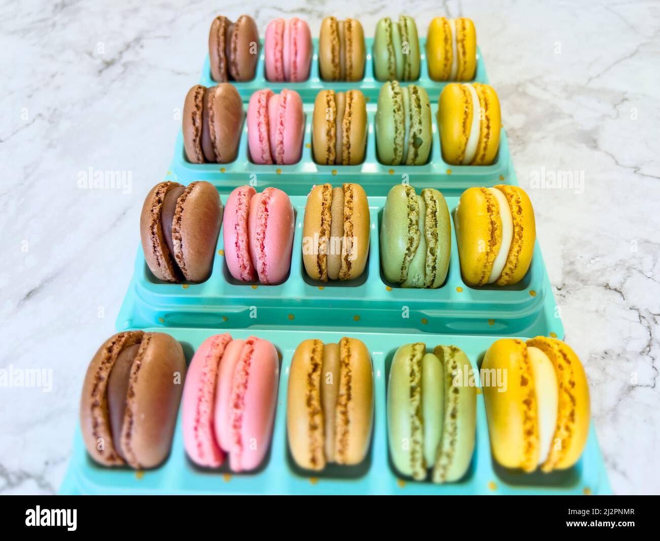 Macarons français colorés disposés en rangée Banque D'Images
