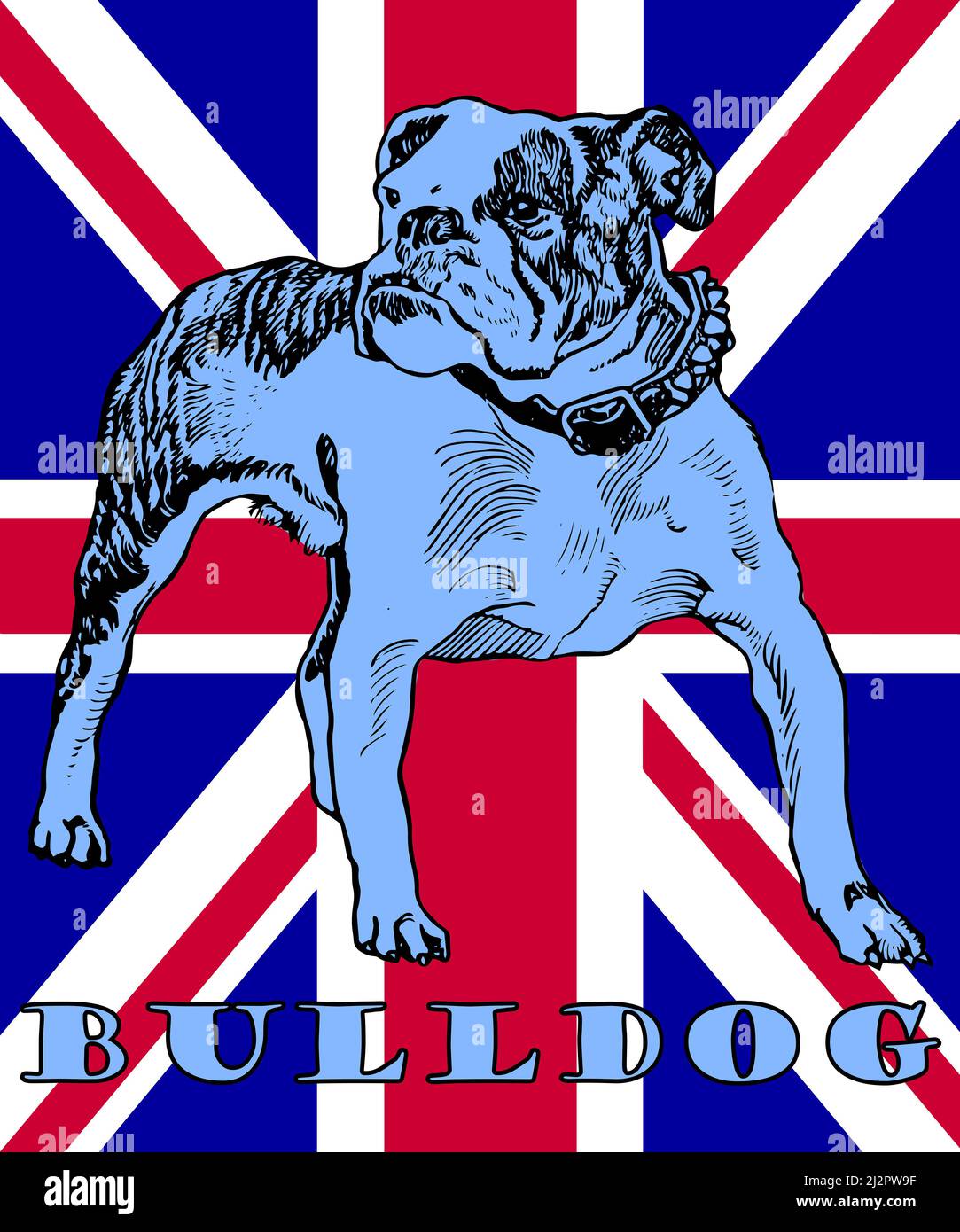Illustration du Bulldog britannique et de l'Union Jack Banque D'Images