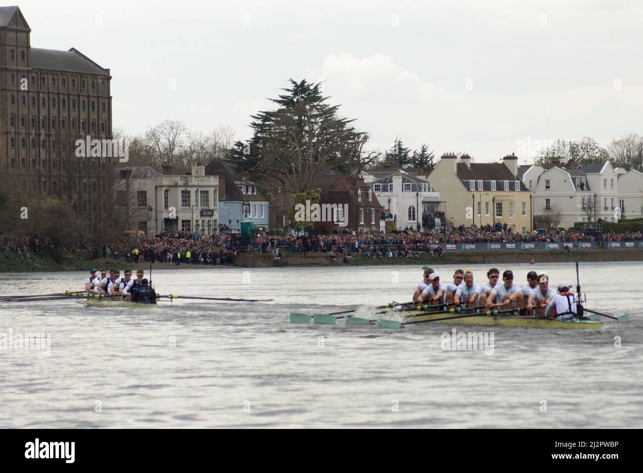 Londres, Royaume-Uni. 3rd avril 2022. Oxford bat Cambridge dans 2022 Boat Race. L'équipe d'Oxford Mens a remporté sa première victoire depuis 2017 lors de la course de bateaux de 167th, à son domicile sur le Tideway. BBC tv a couvert l'événement avec Clare Balding commentant et Sir Matt Pinsent umpeed. Crédit : Peter Hogan/Alay Live News Banque D'Images