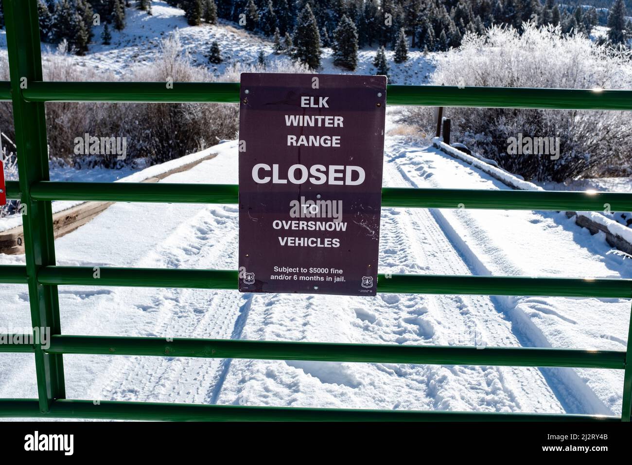 East Fork de la rivière Salmon en hiver Banque D'Images