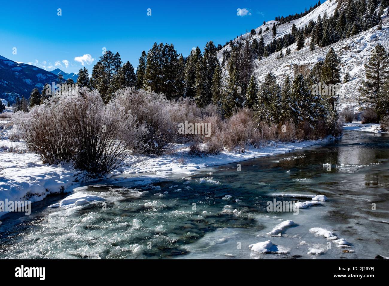 East Fork de la rivière Salmon en hiver Banque D'Images