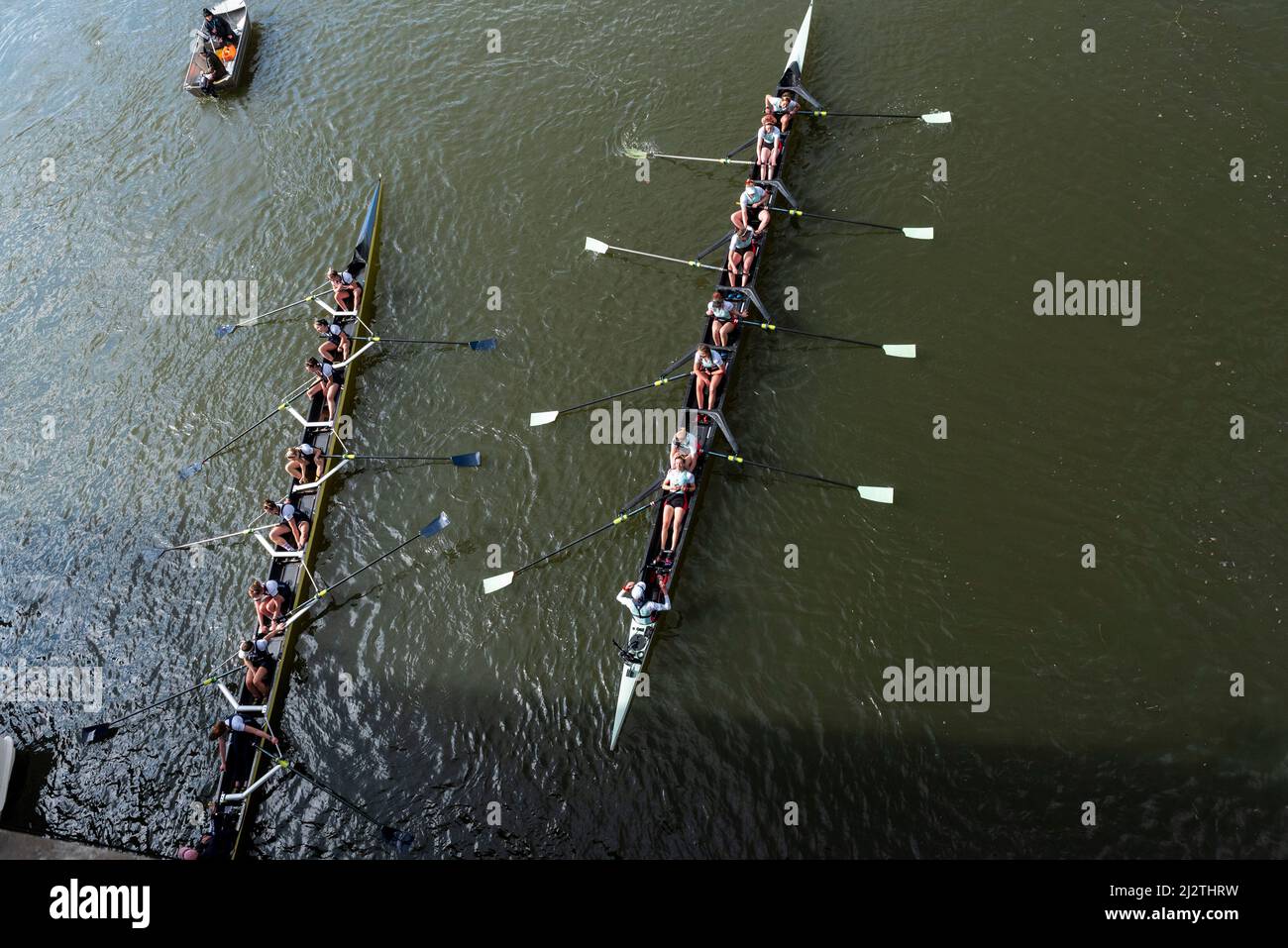 Londres, Grande-Bretagne. 3rd avril 2022. L'équipage féminin (R) de l'université de Cambridge célèbre la victoire de la course de bateaux féminins entre l'université d'Oxford et l'université de Cambridge sur la Tamise à Londres, en Grande-Bretagne, le 3 avril 2022. Credit: Stephen Chung/Xinhua/Alay Live News Banque D'Images