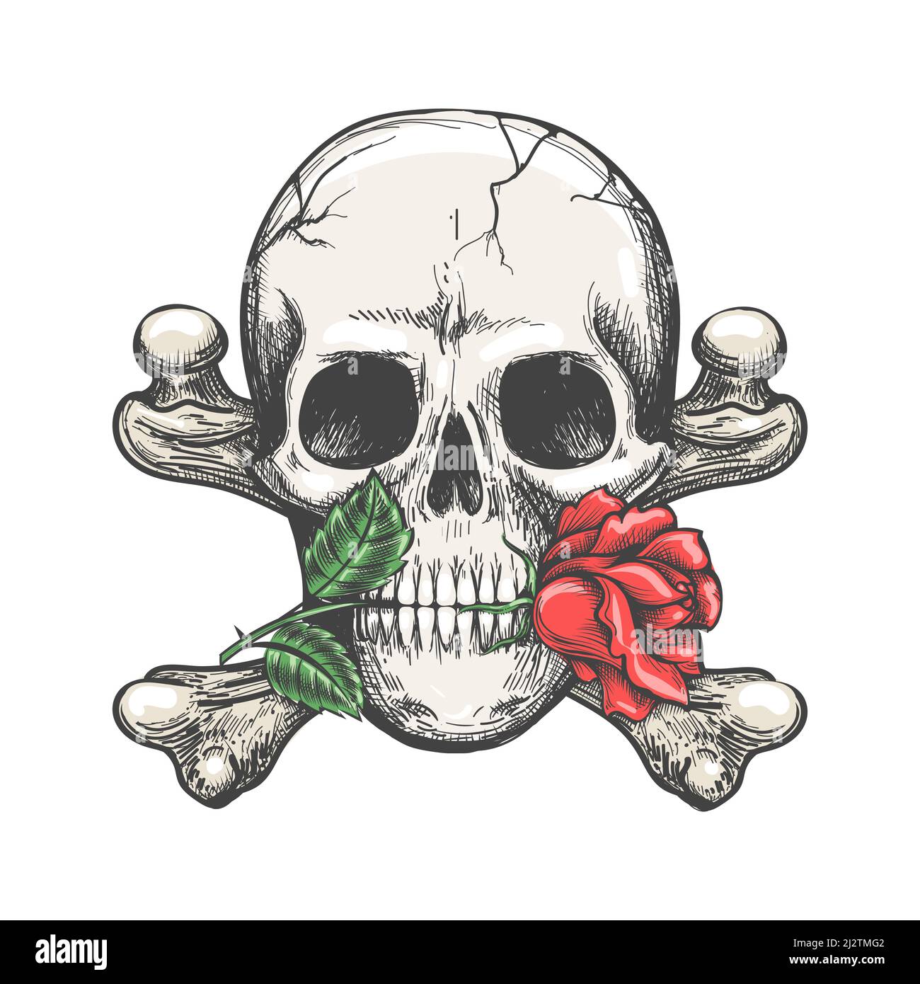 Crossos du crâne rose Illustration de Vecteur